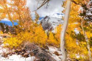 Mt. Olson and the Aspens-8857-2.jpg Mt. Olson and the Aspens-8857-2.jpg